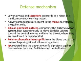 Defense mechanism
• Lower airways and secretions are sterile as a result of a
multicomponent cleansing system.
• Airway contaminants are caught in the mucus secreted by
the goblet cells.
• Cilia on epithelial surfaces, composing the ciliary elevator
system, beat synchronously to move particles upward
toward the central airways and into the throat, where they
are swallowed or expectorated.
• Polymorphonuclear neutrophils from the blood and tissue
macrophages ingest and kill microorganisms.
• IgA secreted into the upper airway fluid protects against
invasive infections and facilitates viral neutralization.
 