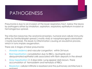 PATHOGENESIS
Pneumonia is due to an invasion of the lower respiratory tract, below the larynx
by pathogens either by inhalation, aspiration, respiratory epithelium invasion or
hematogenous spread.
The infection breaches the anatomical barriers, humoral and cellular immunity
either by fomite/droplet spread ( mostly viral) or nasopharyngeal colonisation
( mostly bacterial). This leads to inflammation causing an exudative process,
which in turns impairs oxygenation.
There are 4 stages of lobar pneumonia:
1. Alveolar oedema and vascular congestion: within 24 hours
2. Red hepatisation: consolidation due to RBCs, neutrophils and
desquamated epithelial cells associated with fibrin deposits in the alveoli
3. Gray hepatisation: 2 -3 days later. Lung appear dark brown. There
accumulation of hemosiderin and hemolysis of RBCs
4. Resolution: cellular infiltrate is resorbed and the pulmonary architecture is
 