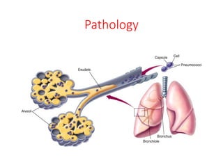Pathology
 