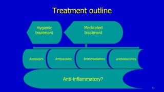 Treatment outline
24
Hygienic
treatment
Medicated
treatment
Antibiotics BronchodilatorsAntiparasitic antihistaminics
Anti-inflammatory?
 