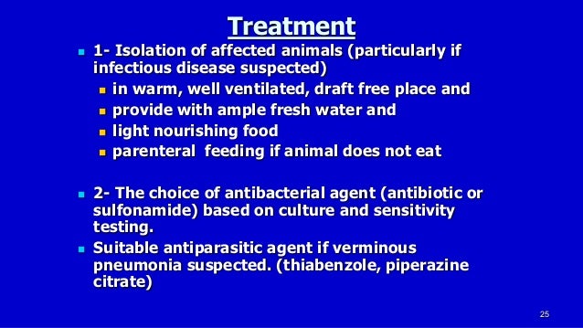 Pneumonia In Equine 2017