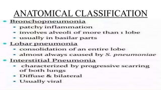 ANATOMICAL CLASSIFICATION
 