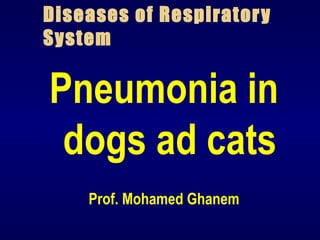 Diseases of Respiratory
System
Pneumonia in
dogs ad cats
Prof. Mohamed Ghanem
 