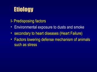 Etiology
I- Predisposing factors
• Environmental exposure to dusts and smoke
• secondary to heart diseases (Heart Failure)
• Factors lowering defense mechanism of animals
such as stress
 