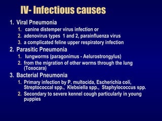 IV- Infectious causes
1. Viral Pneumonia
1. canine distemper virus infection or
2. adenovirus types 1 and 2, parainfluenza virus
3. a complicated feline upper respiratory infection
2. Parasitic Pneumonia
1. lungworms (paragonimus - Aelurostrongylus)
2. from the migration of other worms through the lung
(Toxocara)
3. Bacterial Pneumonia
1. Primary infection by P. multocida, Escherichia coli,
Streptococcal spp., Klebsiella spp., Staphylococcus spp.
2. Secondary to severe kennel cough particularly in young
puppies
 