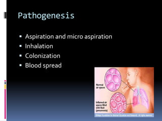 Pathogenesis
 Aspiration and micro aspiration
 Inhalation
 Colonization
 Blood spread
 