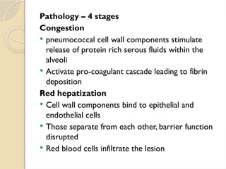 Pathology – 4 stages
Congestion
 pneumococcal cell wall components stimulate
release of protein rich serous fluids within the
alveoli
 Activate pro-coagulant cascade leading to fibrin
deposition
Red hepatization
 Cell wall components bind to epithelial and
endothelial cells
 Those separate from each other, barrier function
disrupted
 Red blood cells infiltrate the lesion
 