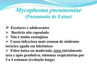 Mycoplasma pneumoniae
(Pneumonia de Eaton)
Ø Escolares e adolescentes
Ø  Bactéria não capsulada
Ø  Não é muito contagiosa
Ø  Causa infecciosa mais comum de síndrome
torácica aguda em falcêmicos
Ø  Febre baixa ou moderada, tosse inicialmente
seca e após produtiva, sintomas respiratórios por
3 a 4 semanas (evolução longa)
 