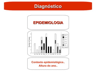 Diagnóstico
Diagnóstico
EPIDEMIOLOGIA
EPIDEMIOLOGIA
Contexto epidemiológico..
Altura do ano..
 