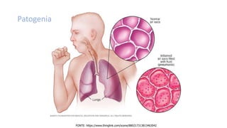 FONTE: https://www.thinglink.com/scene/880217313813463042
Patogenia
 