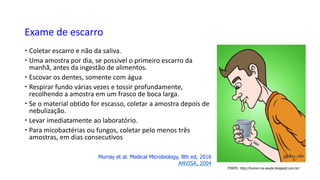 FONTE: http://humor-na-saude.blogspot.com.br/
Exame de escarro
 Coletar escarro e não da saliva.
 Uma amostra por dia, se possível o primeiro escarro da
manhã, antes da ingestão de alimentos.
 Escovar os dentes, somente com água
 Respirar fundo várias vezes e tossir profundamente,
recolhendo a amostra em um frasco de boca larga.
 Se o material obtido for escasso, coletar a amostra depois de
nebulização.
 Levar imediatamente ao laboratório.
 Para micobactérias ou fungos, coletar pelo menos três
amostras, em dias consecutivos
Murray et al. Medical Microbiology, 8th ed, 2016
ANVISA, 2004
 