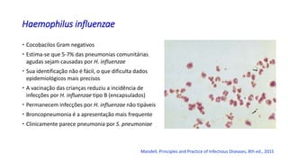 Haemophilus influenzae
 Cocobacilos Gram negativos
 Estima-se que 5-7% das pneumonias comunitárias
agudas sejam causadas por H. influenzae
 Sua identificação não é fácil, o que dificulta dados
epidemiológicos mais precisos
 A vacinação das crianças reduziu a incidência de
infecções por H. influenzae tipo B (encapsulados)
 Permanecem infecções por H. influenzae não tipáveis
 Broncopneumonia é a apresentação mais frequente
 Clinicamente parece pneumonia por S. pneumoniae
Mandell, Principles and Practice of Infectious Diseases, 8th ed., 2015
 