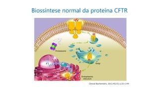 Biossíntese normal da proteína CFTR
Clinical Biochemistry. 2012;45(15):1132-1144
 