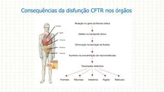 Consequências da disfunção CFTR nos órgãos
 
