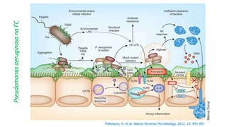 Folkesson, A. et al. Nature Reviews Microbiology, 2012. 10: 841-851
PseudomonasaeruginosanaFC
 