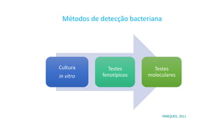 Métodos de detecção bacteriana
Cultura
in vitro
Testes
fenotípicos
Testes
moleculares
MARQUES, 2011
 