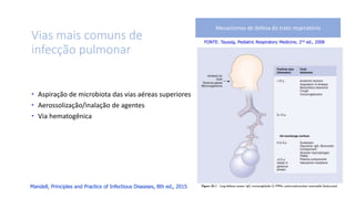 Vias mais comuns de
infecção pulmonar
FONTE: Taussig. Pediatric Respiratory Medicine, 2nd ed., 2008
Mecanismos de defesa do trato respiratório
Mandell, Principles and Practice of Infectious Diseases, 8th ed., 2015
 Aspiração de microbiota das vias aéreas superiores
 Aerossolização/inalação de agentes
 Via hematogênica
 