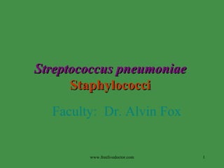 Streptococcus pneumoniae   Staphylococci   Faculty:  Dr. Alvin Fox www.freelivedoctor.com 