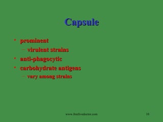 Capsule prominent  virulent strains  anti-phagocytic carbohydrate antigens  vary among strains www.freelivedoctor.com 
