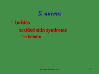S. aureus babies scalded skin syndrome exfoliatin www.freelivedoctor.com 