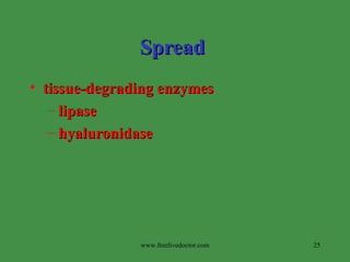 Spread   tissue-degrading enzymes lipase  hyaluronidase www.freelivedoctor.com 