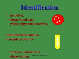 Identification    hemolytic  sheep blood agar yellow pigmented   (aureus) mannitol  fermentation coagulase-positive reference laboratories  phage-typing  www.freelivedoctor.com 