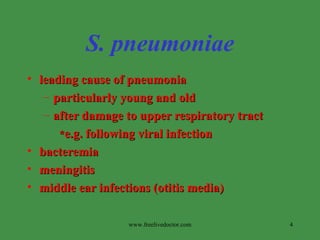 S. pneumoniae   leading cause of pneumonia particularly young and old after damage to upper respiratory tract * e.g. following viral infection bacteremia meningitis middle ear infections (otitis media) www.freelivedoctor.com 