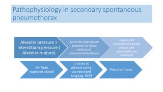 Pathophysiology in secondary spontaneous 
pneumothorax 
Alveolar pressure > 
interstitium pressure ( 
Alveolar rupture) 
Air in the interstitium 
traverses to hilum 
and cause 
pneumomediastinum 
Rupture of 
mediastinal parietal 
pleura and 
pneumothorax 
develops 
Air from 
ruptured alveoli 
Crosses to 
pleural cavity 
via necrosed 
lung (eg. PCP) 
Pneumothorax 
 