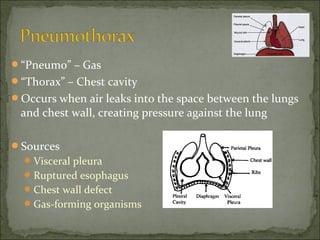 “Pneumo” – Gas
“Thorax” – Chest cavity
Occurs when air leaks into the space between the lungs
and chest wall, creating pressure against the lung
Sources
Visceral pleura
Ruptured esophagus
Chest wall defect
Gas-forming organisms
 