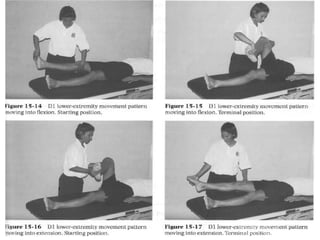 Rhythmic Rotation pnf-130120054823-phpapp02.pptx pnf neuro rehabilitation | PPTX