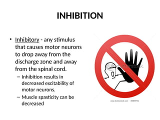 pnf-130120054823-phpapp02.pptx pnf neuro rehabilitation | PPTX