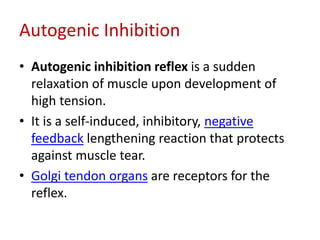Autogenic Inhibition
• Autogenic inhibition reflex is a sudden
relaxation of muscle upon development of
high tension.
• It is a self-induced, inhibitory, negative
feedback lengthening reaction that protects
against muscle tear.
• Golgi tendon organs are receptors for the
reflex.
 