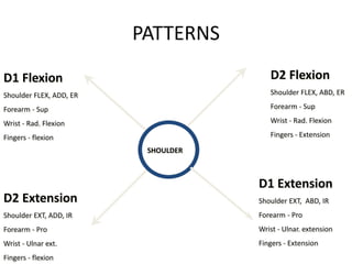 PATTERNS
SHOULDER
D1 Flexion
Shoulder FLEX, ADD, ER
Forearm - Sup
Wrist - Rad. Flexion
Fingers - flexion
D2 Flexion
Shoulder FLEX, ABD, ER
Forearm - Sup
Wrist - Rad. Flexion
Fingers - Extension
D1 Extension
Shoulder EXT, ABD, IR
Forearm - Pro
Wrist - Ulnar. extension
Fingers - Extension
D2 Extension
Shoulder EXT, ADD, IR
Forearm - Pro
Wrist - Ulnar ext.
Fingers - flexion
 