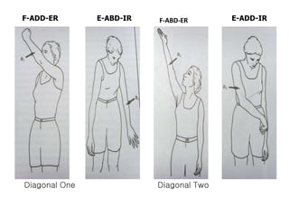 Diagonal One Diagonal Two
F-ABD-ER E-ADD-IR
F-ADD-ER E-ABD-IR
 