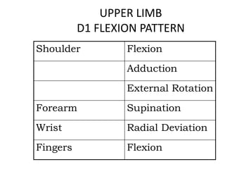UPPER LIMB
D1 FLEXION PATTERN
Shoulder Flexion
Adduction
External Rotation
Forearm Supination
Wrist Radial Deviation
Fingers Flexion
 