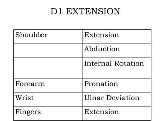 D1 EXTENSION
Shoulder Extension
Abduction
Internal Rotation
Forearm Pronation
Wrist Ulnar Deviation
Fingers Extension
 