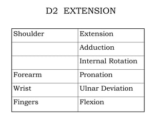 D2 EXTENSION
Shoulder Extension
Adduction
Internal Rotation
Forearm Pronation
Wrist Ulnar Deviation
Fingers Flexion
 