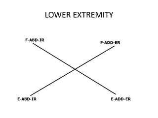 LOWER EXTREMITY
F-ABD-IR
F-ADD-ER
E-ABD-IR E-ADD-ER
 