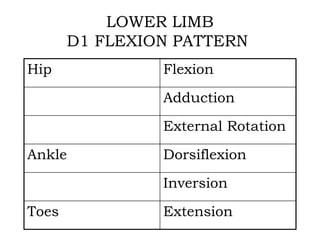 LOWER LIMB
D1 FLEXION PATTERN
Hip Flexion
Adduction
External Rotation
Ankle Dorsiflexion
Inversion
Toes Extension
 