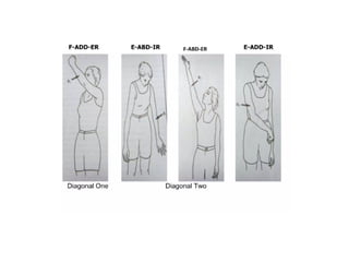 PNF- techniques along with its types, indications and contraindications ...