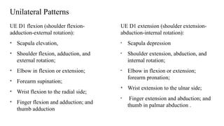 Unilateral Patterns
UE D1 flexion (shoulder flexion-
adduction-external rotation):
• Scapula elevation,
• Shoulder flexion, adduction, and
external rotation;
• Elbow in flexion or extension;
• Forearm supination;
• Wrist flexion to the radial side;
• Finger flexion and adduction; and
thumb adduction
UE D1 extension (shoulder extension-
abduction-internal rotation):
• Scapula depression
• Shoulder extension, abduction, and
internal rotation;
• Elbow in flexion or extension;
forearm pronation;
• Wrist extension to the ulnar side;
• Finger extension and abduction; and
thumb in palmar abduction .
 