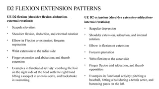 D2 FLEXION EXTENSION PATTERNS
UE D2 flexion (shoulder flexion-abduction-
external rotation):
• Scapula elevation
• Shoulder flexion, abduction, and external rotation
• Elbow in Flexion or extension; forearm
supination
• Wrist extension to the radial side
• Finger extension and abduction; and thumb
extension
• Examples in functional activity: combing the hair
on the right side of the head with the right hand
lifting a racquet in a tennis serve, and backstroke
in swimming.
UE D2 extension (shoulder extension-adduction-
internal rotation):
• Scapular depression
• Shoulder extension, adduction, and internal
rotation
• Elbow in flexion or extension
• Forearm pronation
• Wrist flexion to the ulnar side
• Finger flexion and adduction; and thumb
opposition
• Examples in functional activity: pitching a
baseball, hitting a ball during a tennis serve, and
buttoning pants on the left.
 