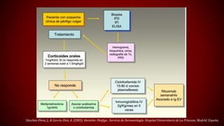 Sánchez-Pérez, J., & García-Díez, A. (2005). Revisión: Pénfigo . Servicio de Dermatología. Hospital Universitario de La Princesa. Madrid. España. 
 