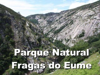 Parque Natural Fragas do Eume 