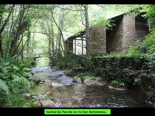 Central do Parrote no río San Bartolomeu. 