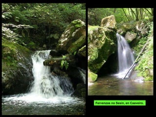 Fervenzas no Sesín, en Caaveiro. 