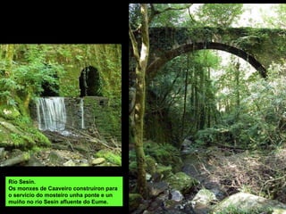 Río Sesín.  Os monxes de Caaveiro construíron para o servicio do mosteiro unha ponte e un muíño no río Sesín afluente do Eume. 