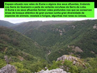 Espazo situado nos vales do Eume e algúns dos seus afluentes, lindando coa Serra do Queixeiro e parte da vertente coruñesa da Serra da Loba.  O Eume e os seus afluentes forman vales profundos nos que se conservan áreas de bosque atlántico de gran pureza cunha gran diversidade de especies de animais, vexetais e fungos, algunhas moi raras ou únicas.  
