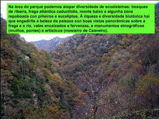 Na área do parque podemos atopar diversidade de ecosistemas: bosques de ribeira, fraga atlántica caducifolia, monte baixo e algunha zona repoboada con piñeiros e eucaliptos. Á riqueza e diversidade biolóxica hai que engadirlle a beleza da paisaxe con boas vistas panorámicas sobre a fraga e o río, vales encaixados e fervenzas, e monumentos etnográficos (muíños, pontes) e artísticos (mosteiro de Caaveiro). 