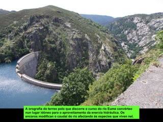 A orografía do terreo polo que discorre o curso do río Eume convérteo nun lugar idóneo para o aproveitamento da enerxía hidráulica. Os encoros modifican o caudal do río afectando ás especies que viven nel.  